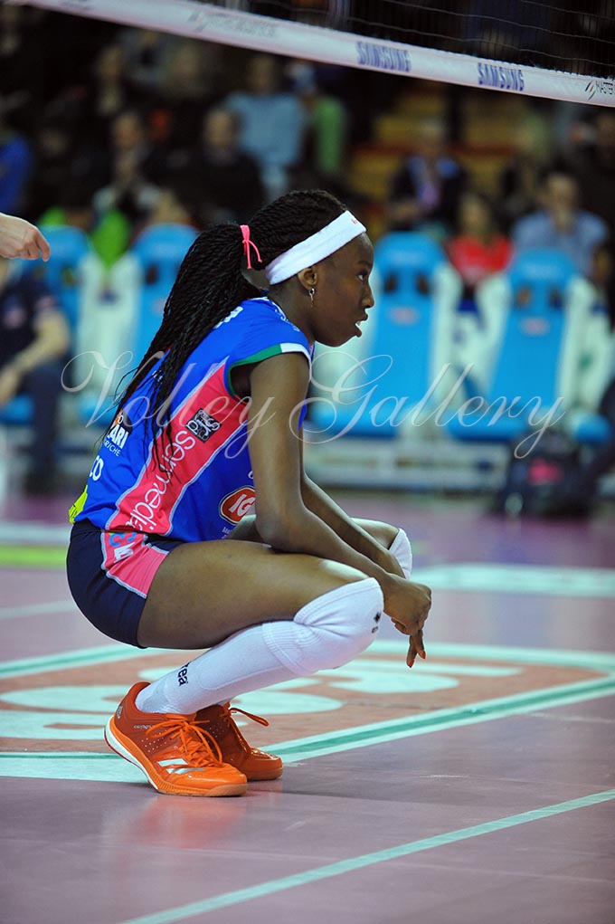 Igor NO-Il Bisonte FI (22)